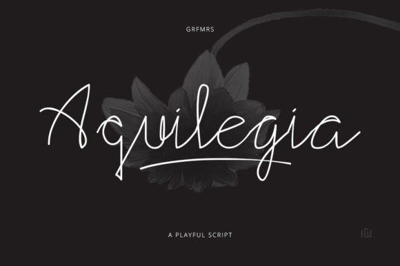 Aquilegia Font Review: Elegant Script for Branding