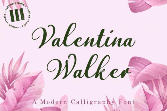 Valentina Walker: A Designer’s Practical Review